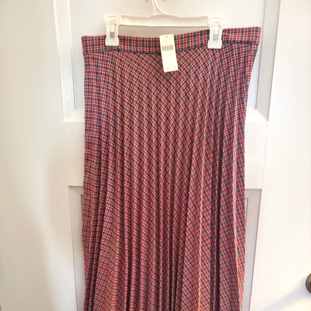 Anthropologie Pleated Skirt